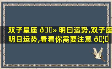 双子星座 🌻 明曰运势,双子座明日运势,看看你需要注意 🦍 什么